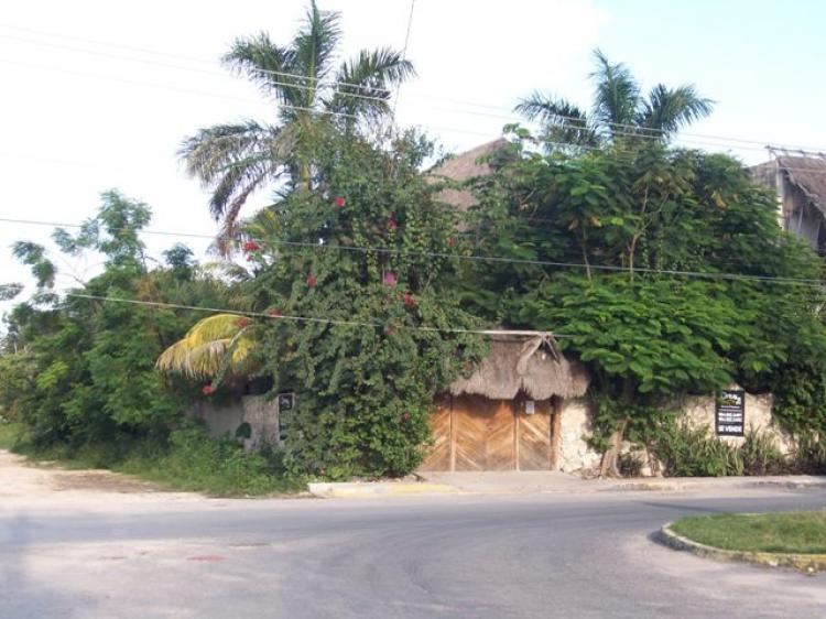 Foto Casa en Venta en Tulum, Quintana Roo - $ 5.500.000 - CAV15487 - BienesOnLine