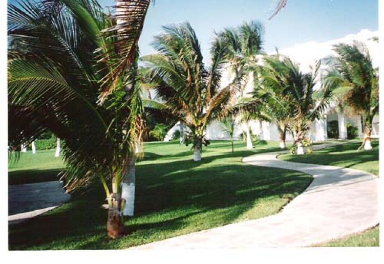 Foto Hotel en Venta en Playa del Carmen, Quintana Roo - U$D 18.000.000 - HOV4538 - BienesOnLine