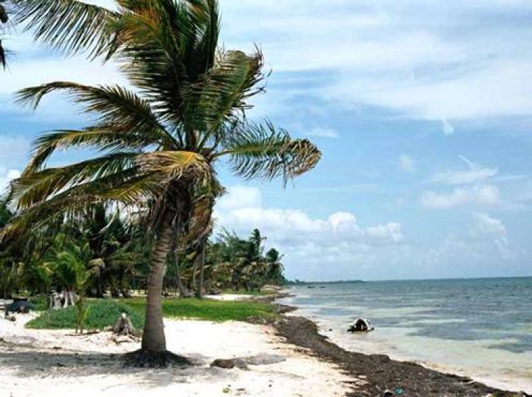 Foto Desarrollo en Venta en Playa del Carmen, Quintana Roo - U$D 55.000.000 - DSV4551 - BienesOnLine