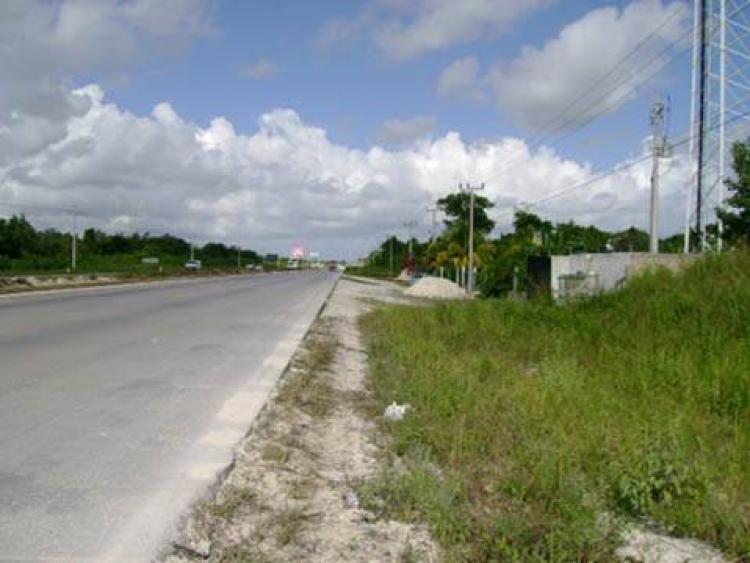 Foto Terreno en Venta en Puerto Morelos, Quintana Roo - 25 hectareas - U$D 4.500.000 - TEV5939 - BienesOnLine
