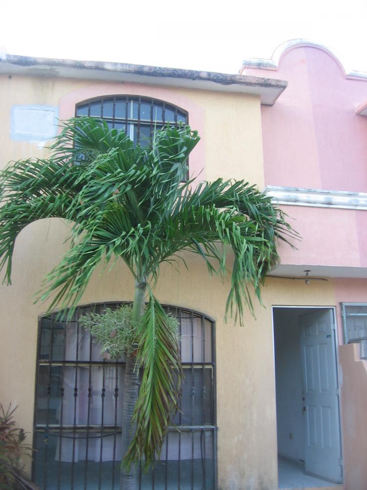 Foto Casa en Renta en Cancn, Quintana Roo - $ 5.000 - CAR39927 - BienesOnLine
