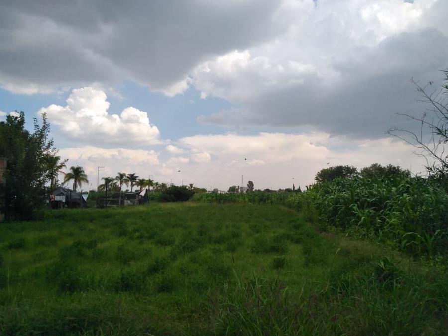 Foto Terreno en Venta en CORRAL DE BARRANCOS, Corral de Barrancos, Aguascalientes - 1 hectareas - $ 2.500 - TEV281976 - BienesOnLine