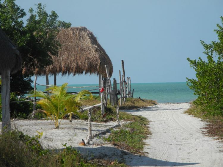 Foto Terreno en Venta en Playa, Holbox, Quintana Roo - $ 995.000 - TEV123647 - BienesOnLine