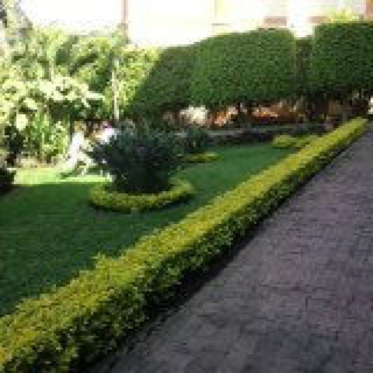 Foto Casa en Venta en Junto al Ro, Cuernavaca, Morelos - $ 3.500.000 - CAV153002 - BienesOnLine