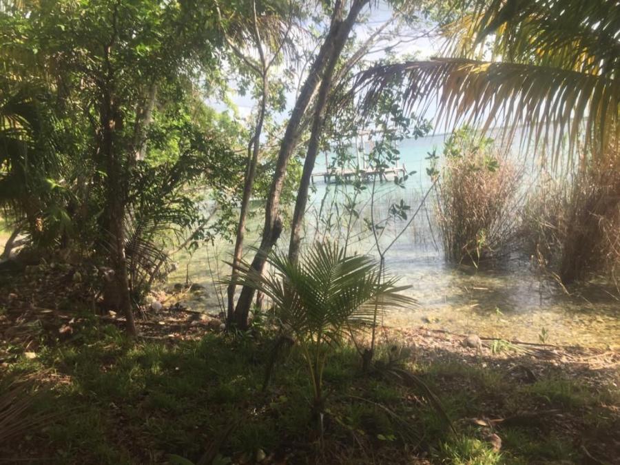 Foto Terreno en Venta en Buena Vista, Bacalar, Quintana Roo - $ 2.500.000 - TEV264171 - BienesOnLine