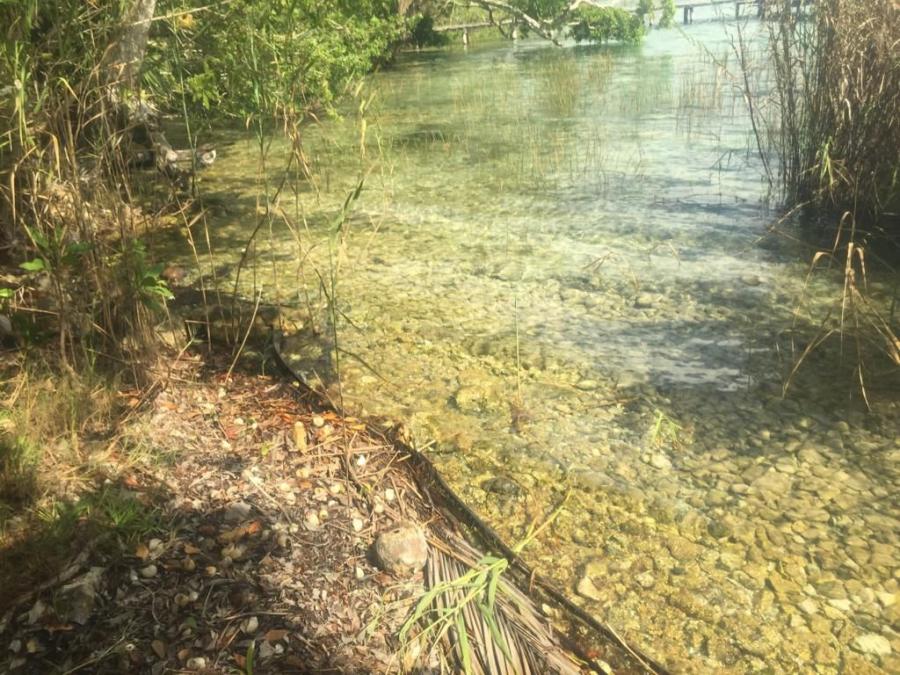 Fotos de Laguna de Bacalar Terreno en venta en Buena Vista. Anuncio