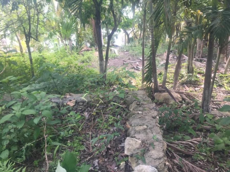 Fotos de Laguna de Bacalar Terreno en venta en Buena Vista. Anuncio