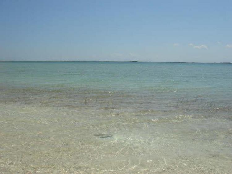 Foto Terreno en Venta en ejido pino suarez (laguna nopalitos), Tulum, Quintana Roo - $ 1.800.000 - TEV39180 - BienesOnLine