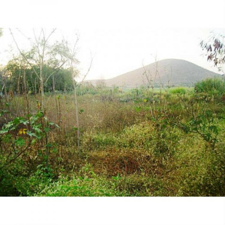 Foto Terreno en Venta en Zacatepec de Hidalgo, Morelos - $ 430.000 - TEV109720 - BienesOnLine