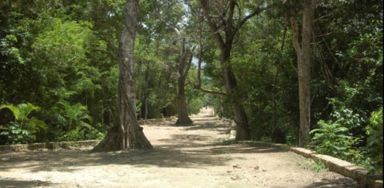 Foto Terreno en Venta en Tulum, Quintana Roo - U$D 75.000 - TEV206577 - BienesOnLine