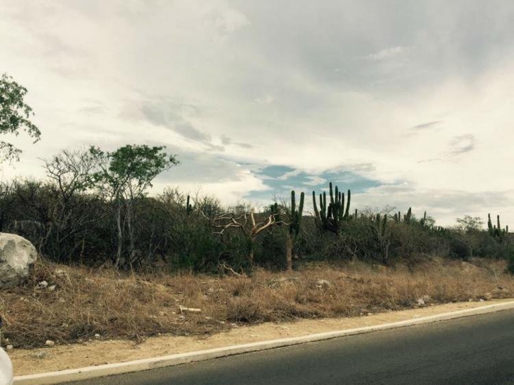 Foto Terreno en Venta en el tezal, Cabo San Lucas, Baja California Sur - 3 hectareas - U$D 125 - TEV171101 - BienesOnLine