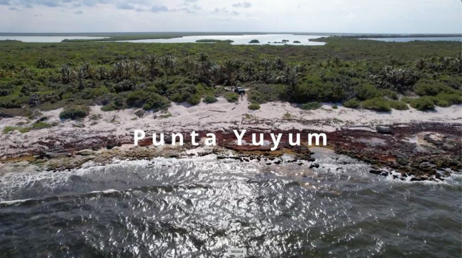Foto Terreno en Venta en Tulum, Quintana Roo - U$D 750.000 - TEV346109 - BienesOnLine