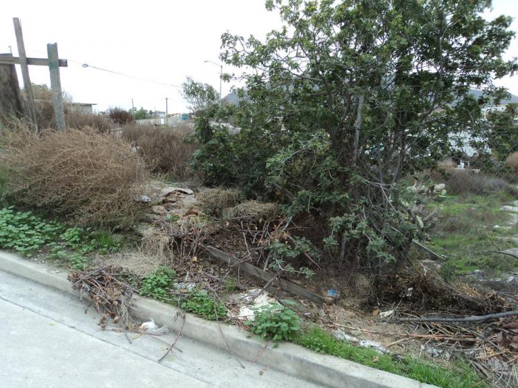 Foto Terreno en Venta en Buenos Aires Sur, tijuana, Tijuana, Baja California - U$D 33.000 - TEV149277 - BienesOnLine