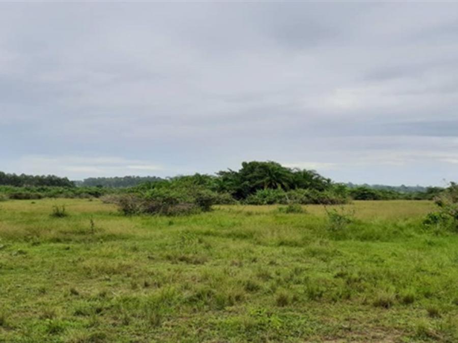 Foto Terreno en Venta en Hacienda San Miguel, Tepatitlán de Morelos, Jalisco - $ 462.000 - TEV348323 - BienesOnLine
