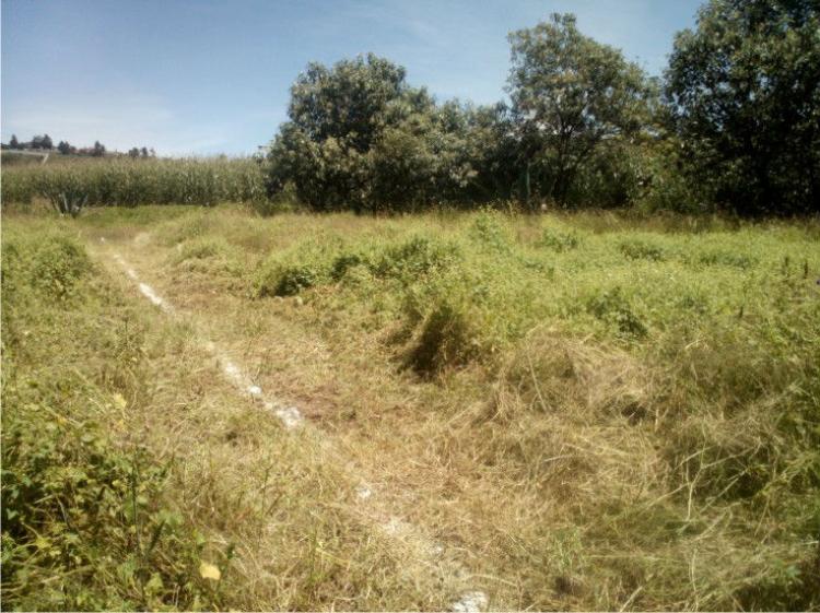 Foto Terreno en Venta en Atlacomulco de Fabela, Mexico - $ 1.000 - TEV139138 - BienesOnLine