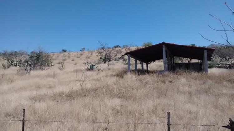 Foto Terreno en Venta en Tarimoro, Guanajuato - $ 135 - TEV113694 - BienesOnLine