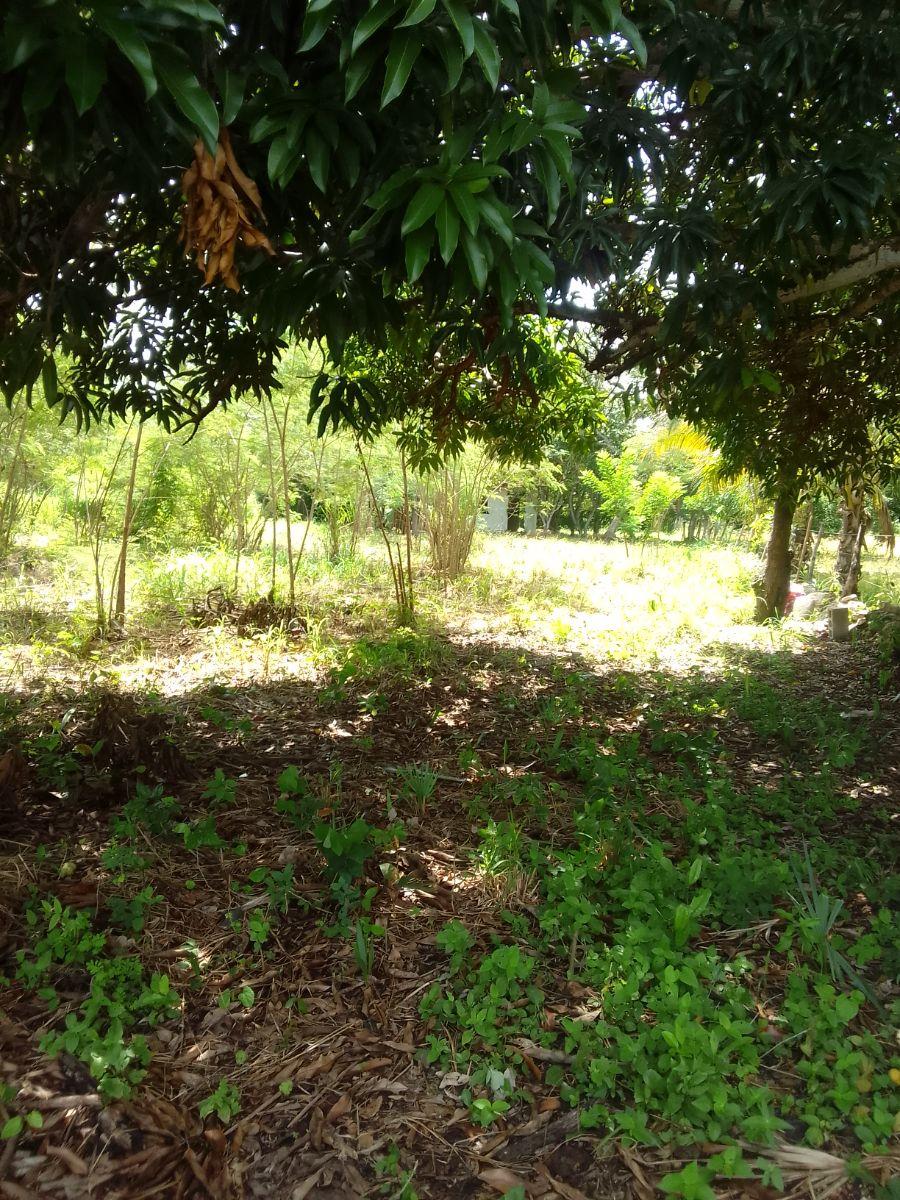 Foto Terreno en Venta en Campeche, Campeche - $ 150.000 - TEV327136 - BienesOnLine