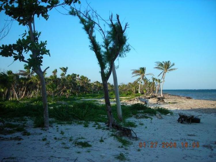 Foto Terreno en Venta en Mahahual, Quintana Roo - U$D 140.000 - TEV5674 - BienesOnLine