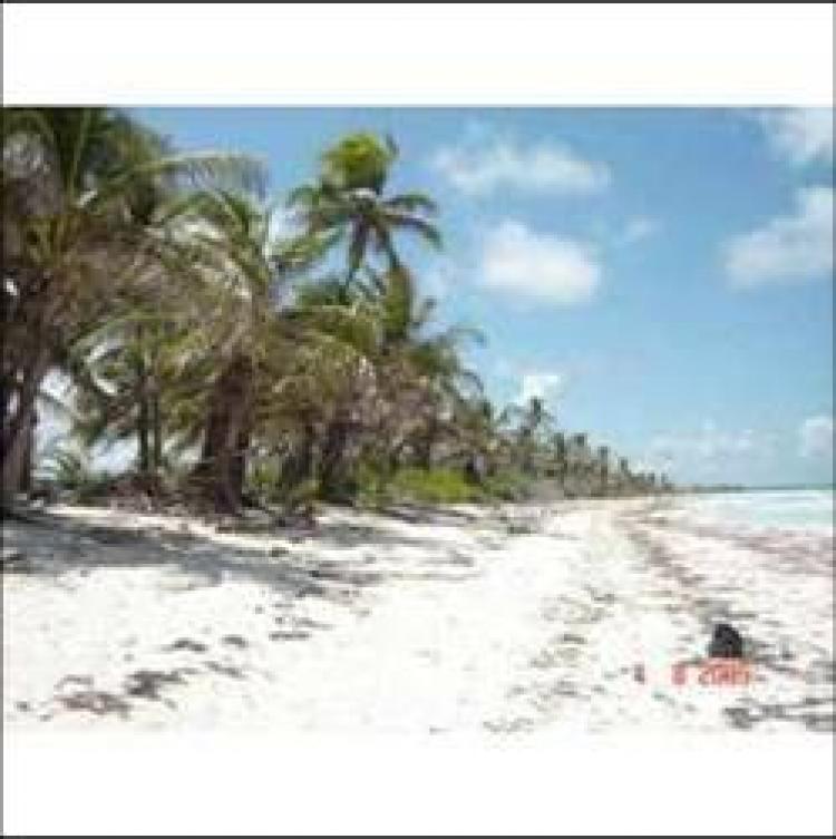 Foto Terreno en Venta en Mahahual, Quintana Roo - 40 hectareas - U$D 650 - TEV779 - BienesOnLine