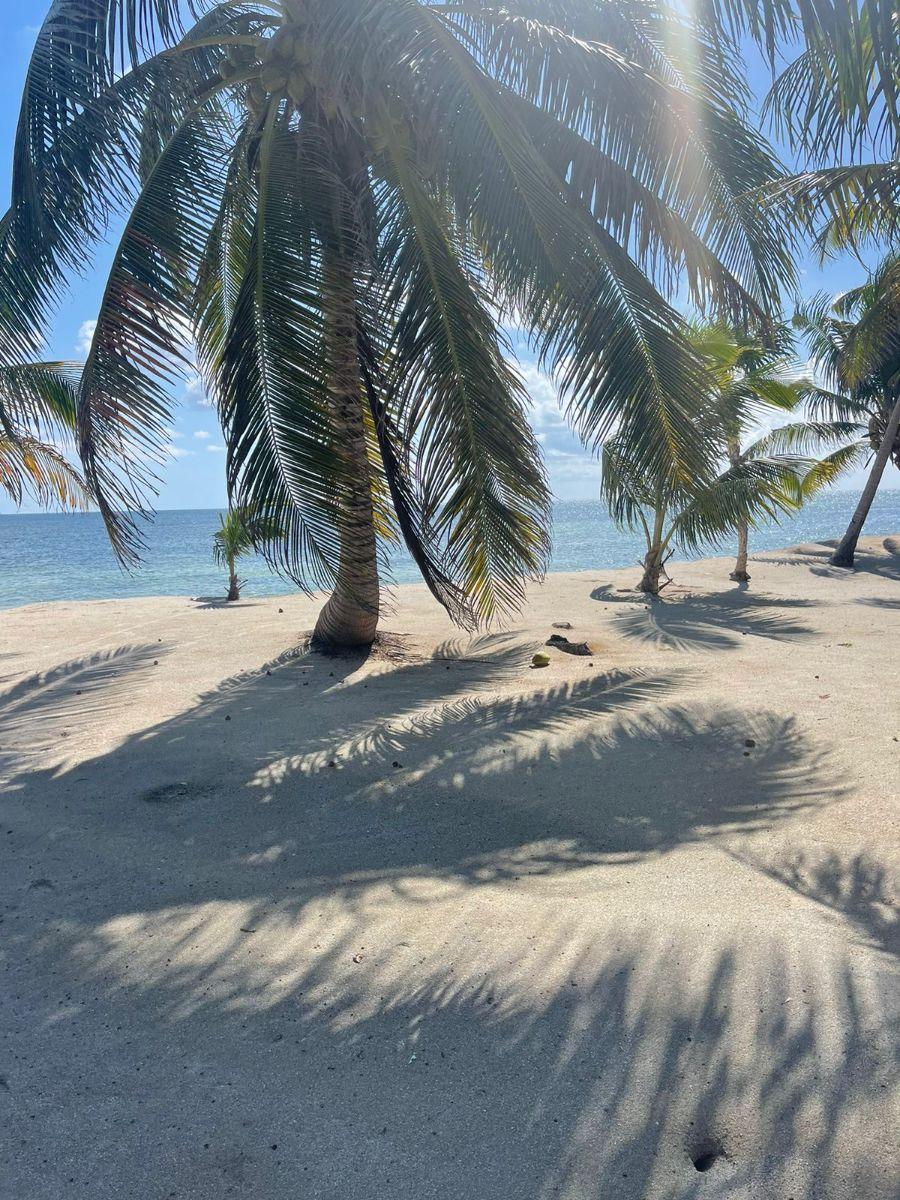 Foto Terreno en Venta en Mahahual, Quintana Roo - U$D 700.000 - TEV361670 - BienesOnLine