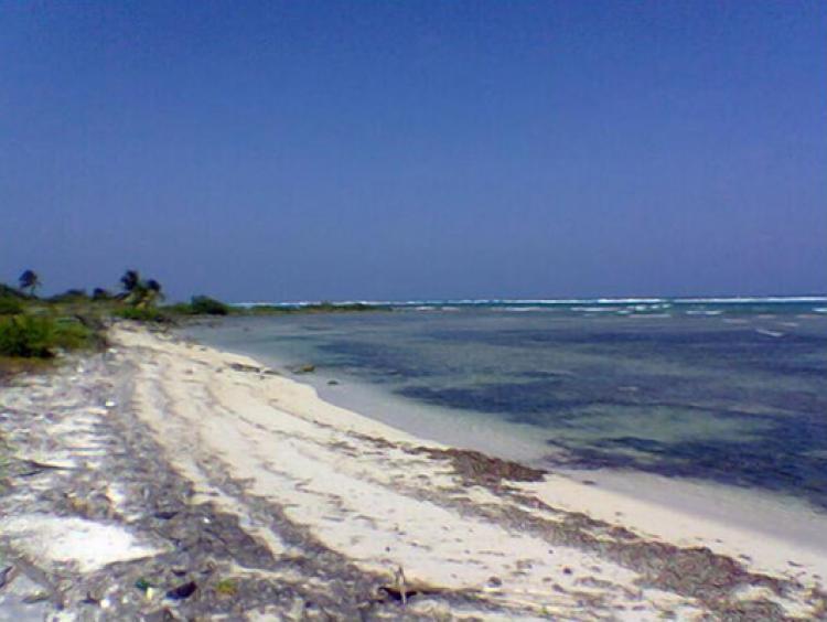 Foto Terreno en Venta en Mahahual, Quintana Roo - TEV5216 - BienesOnLine