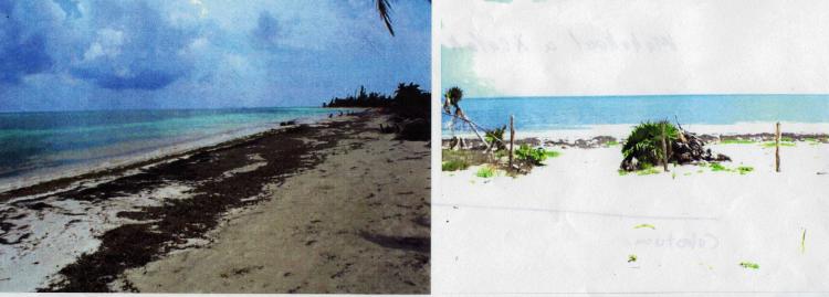 Foto Terreno en Venta en Mahahual, Quintana Roo - U$D 850.000 - TEV4158 - BienesOnLine