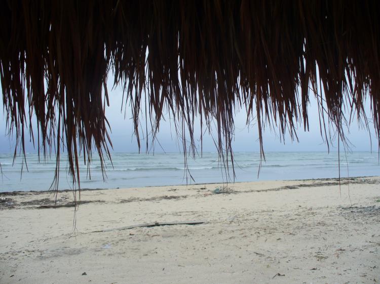 Foto Terreno en Venta en Playas del Norte, Mahahual, Quintana Roo - U$D 110.000 - TEV8386 - BienesOnLine