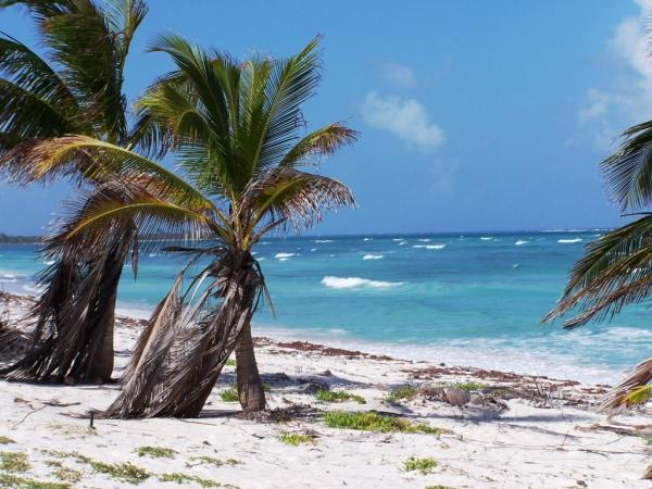 Foto Terreno en Venta en Mahahual, Quintana Roo - U$D 165.000 - TEV6372 - BienesOnLine