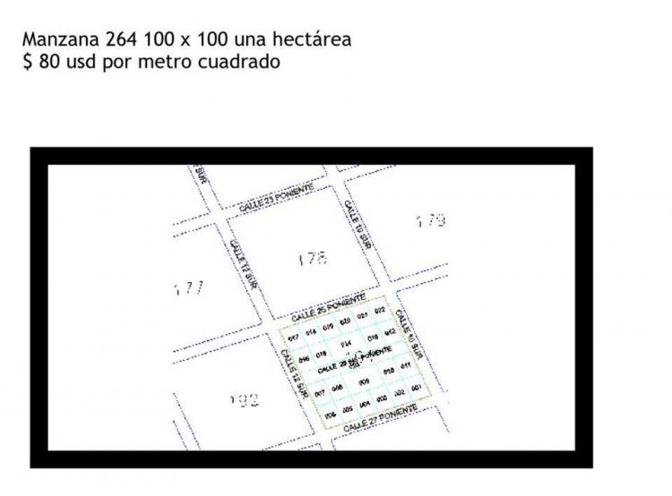 Foto Terreno en Venta en Tulum, Quintana Roo - U$D 80.000 - TEV229981 - BienesOnLine