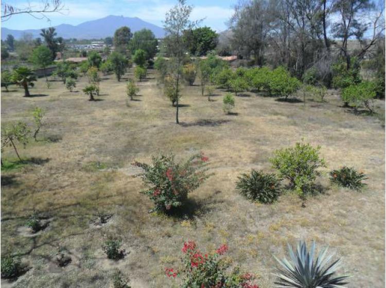 Foto Rancho en Venta en El Arenal, Jalisco - $ 6.350.000 - RAV103758 - BienesOnLine