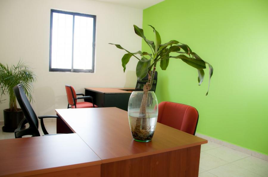 Foto Oficina en Renta en CENTRO, Quertaro, Queretaro Arteaga - $ 5.800 - OFR251017 - BienesOnLine