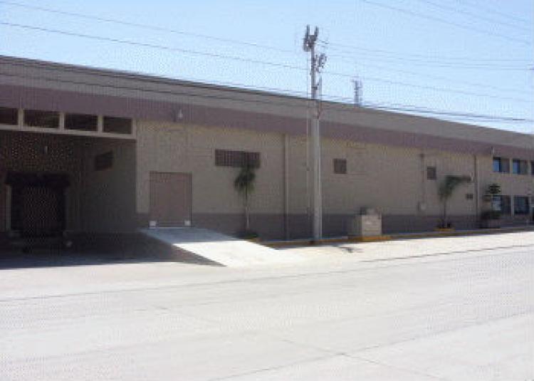 Foto Nave en Renta en Zona Urbana Rio Tijuana, Tijuana, Baja California - U$D 11.200 - NAR75658 - BienesOnLine