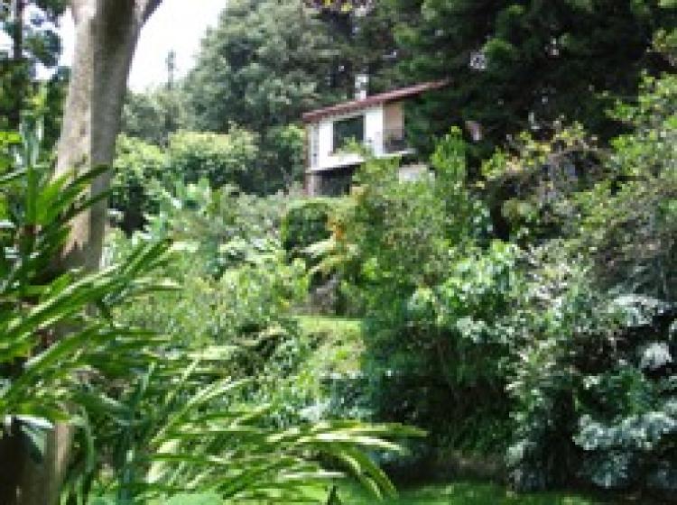 Home in Metric Way
