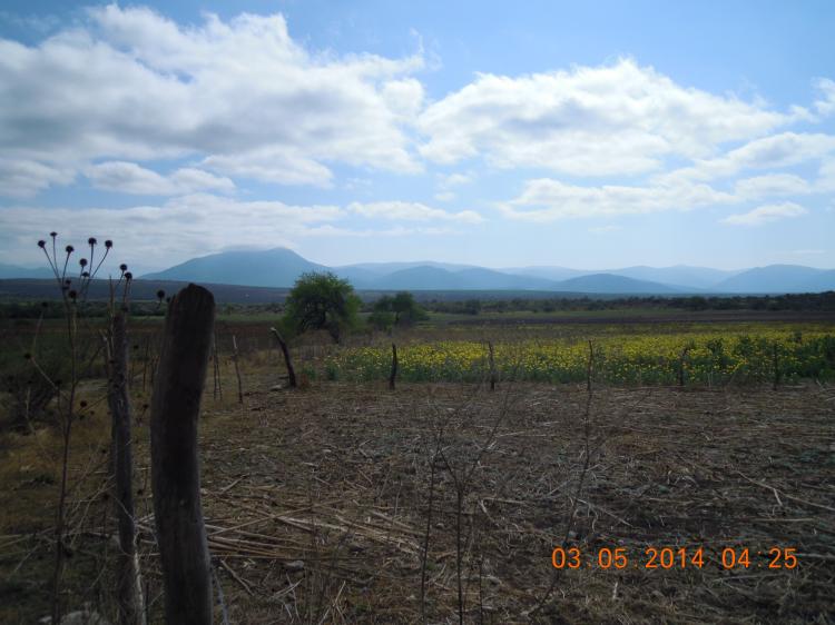 Foto Rancho en Venta en Carretera Quelital - Carrizal km. 3, Lagunillas Quelital y Carrizal, San Luis Potosi - 100 hectareas - $ 4.500.000 - RAV217658 - BienesOnLine