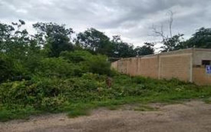 Foto Terreno en Venta en Tizimn, Yucatan - $ 163.200 - TEV306061 - BienesOnLine