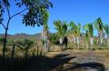 Terreno en Venta en Roca Blanca Villa de Tututepec de Melchor Ocampo