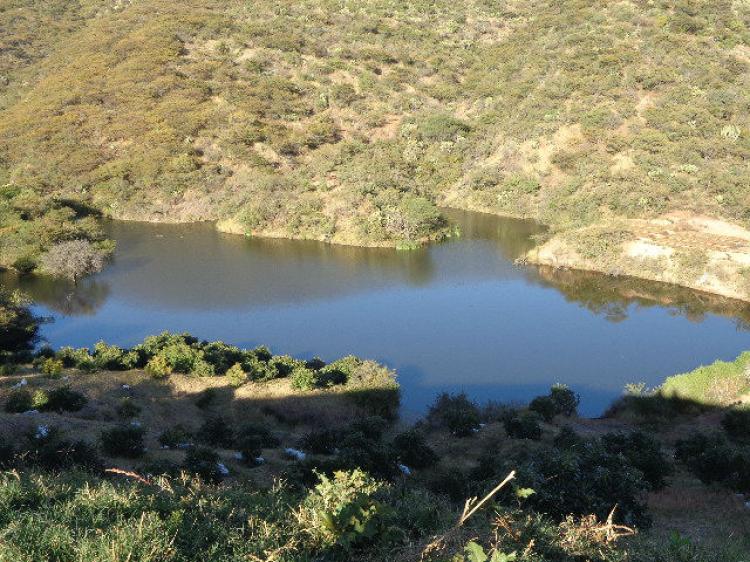 Foto Rancho en Venta en Duarte, Guanajuato - 123 hectareas - $ 55.000.000 - RAV135445 - BienesOnLine