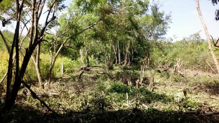 Foto Terreno en Venta en Playa Larga, Zihuatanejo, Guerrero - $ 650.000 - TEV218137 - BienesOnLine
