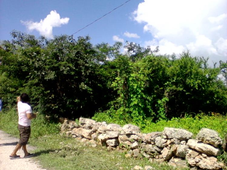 Foto Terreno en Venta en Mrida, Yucatan - 4 hectareas - TEV42817 - BienesOnLine
