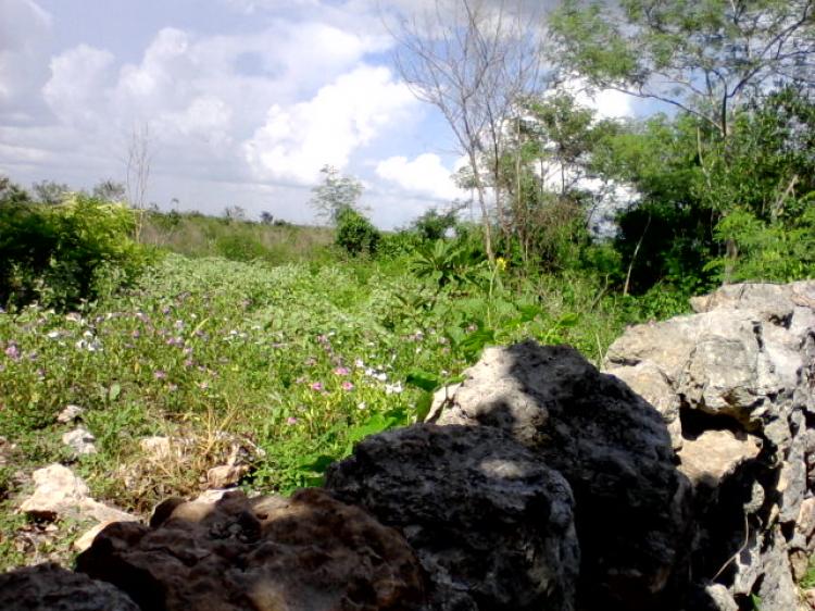 Foto Terreno en Venta en Mrida, Yucatan - 2 hectareas - TEV42818 - BienesOnLine