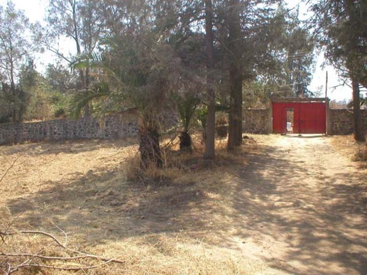 Foto Terreno en Venta en Tlalmanalco de Velzquez, Mexico - 5 hectareas - $ 380 - TEV11098 - BienesOnLine