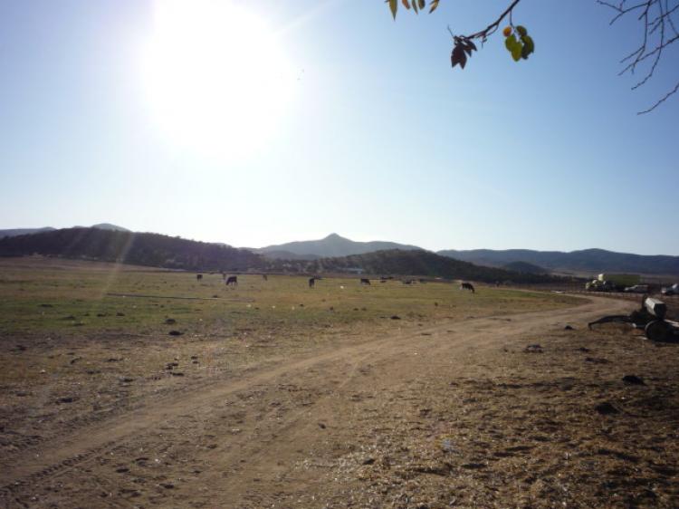 Foto Rancho en Venta en Ojos Negros, Ensenada, Baja California - 32 hectareas - U$D 500.000 - RAV8542 - BienesOnLine