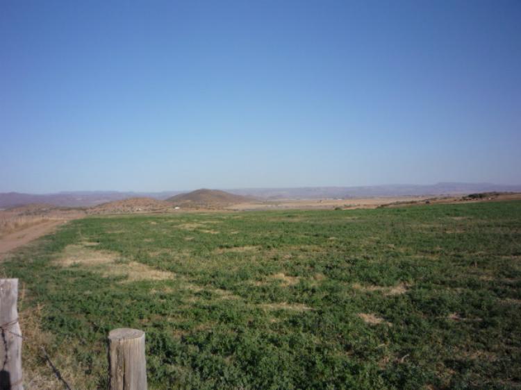 Foto Rancho en Venta en Real del Castillo, Ensenada, Baja California - U$D 400.000 - RAV8128 - BienesOnLine