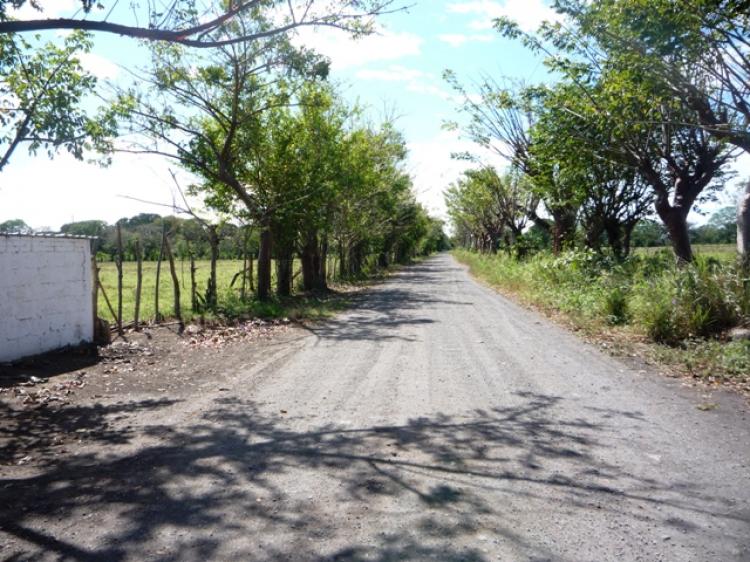 Foto Terreno en Venta en Medelln, Veracruz - 4 hectareas - $ 4.700.000 - TEV19243 - BienesOnLine