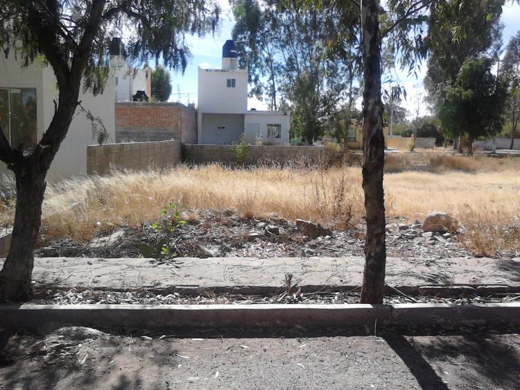 Terreno en Venta en los alamitos, Jerez de García Salinas, Zacatecas