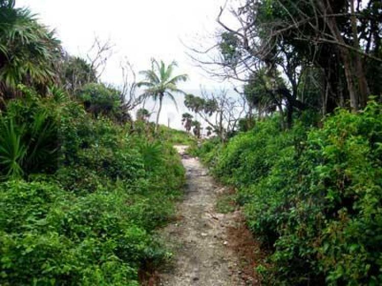 Foto Terreno en Venta en Tulum, Quintana Roo - U$D 2.000.000 - TEV9560 - BienesOnLine