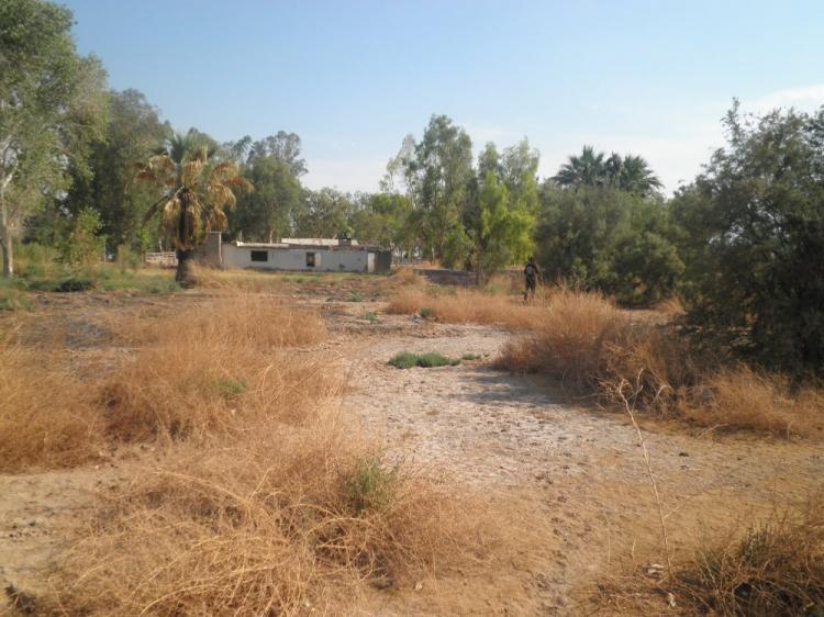 Foto Terreno en Venta en Ejido Hechicera, Mexicali, Baja California - U$D 30.000 - TEV43667 - BienesOnLine