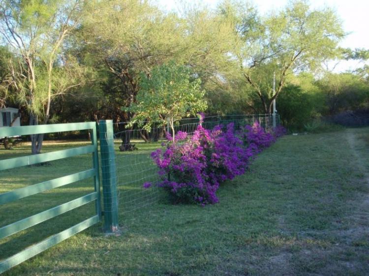 Descobrir 40+ imagem casas de renta en linares nuevo leon mexico