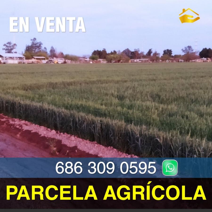 Foto Rancho en Venta en Palo Verde, Mexicali, Baja California - 7 hectareas - U$D 630.000 - RAV324925 - BienesOnLine