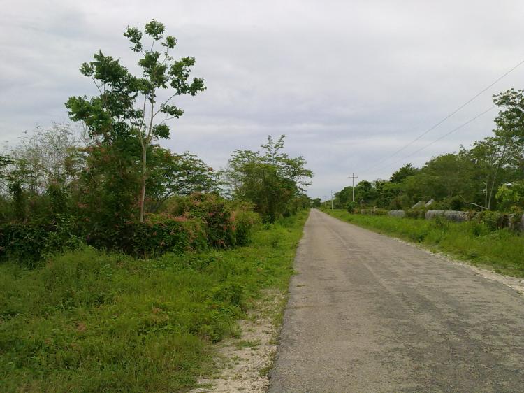 Foto Terreno en Venta en Sudzal, Izamal, Yucatan - 35 hectareas - $ 750.000 - TEV23528 - BienesOnLine